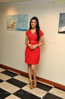 Richa Panai feet photo 19