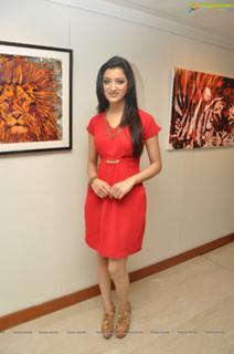 Richa Panai feet photo 17