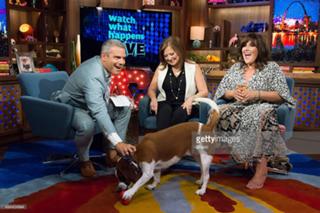 Ricki Lake feet photo thumbnail