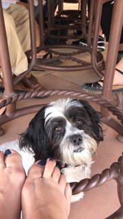 Ricki Lake feet photo thumbnail