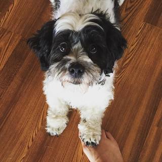 Ricki Lake feet photo thumbnail