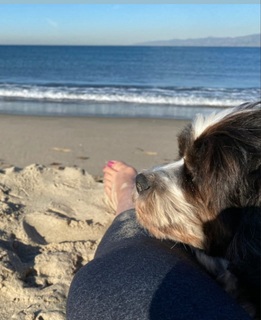 Ricki Lake feet photo thumbnail