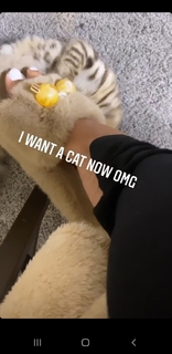 Rico Nasty feet photo 12