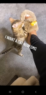 Rico Nasty feet photo 11