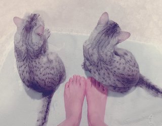 Rie Tanaka feet photo 8
