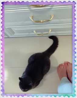 Rie Tanaka feet photo 1