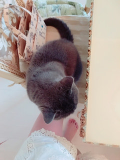Rie Tanaka feet photo 19