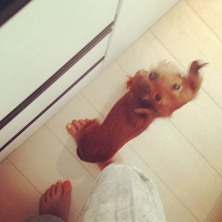 Riisa Naka feet photo 3