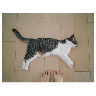 Riisa Naka feet photo 14