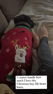 Riley Keough feet photo thumbnail
