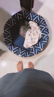 Rima Zeidan feet photo 8