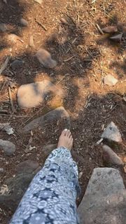 Rima Zeidan feet photo 13