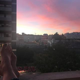 Rita Ferro Rodrigues feet photo 5