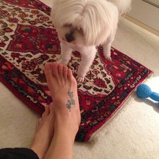 Rita Guedes feet photo 19
