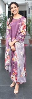Ritu Varma feet photo 10