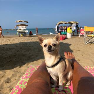 Roberta Beta feet photo 12