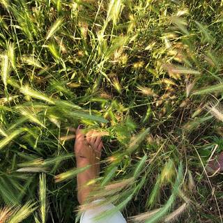 Roberta Beta feet photo 16