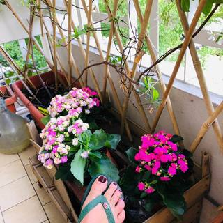 Roberta Beta feet photo 15