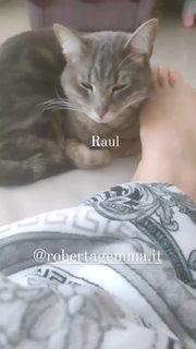 Roberta Missoni feet photo 2