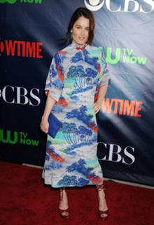 Robin Tunney feet photo thumbnail