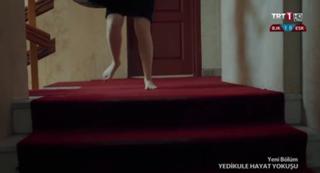 Rojda Demirer feet photo 18