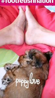 Rola Yammout feet photo 4