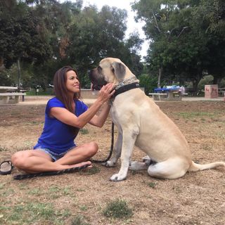 Rosa Blasi feet photo thumbnail