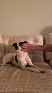 Rosa Salazar feet photo thumbnail
