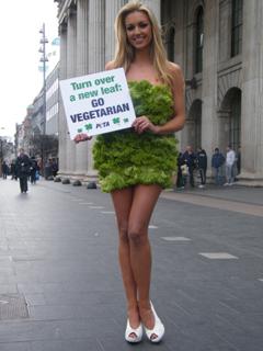 Rosanna Davison feet photo 15