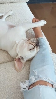 Rosanna Pansino feet photo thumbnail