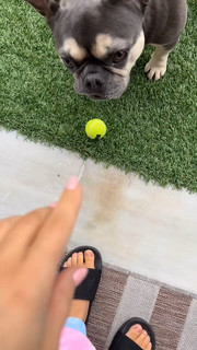 Rosanna Pansino feet photo thumbnail
