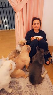 Rosanna Pansino feet photo thumbnail