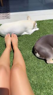Rosanna Pansino feet photo 3