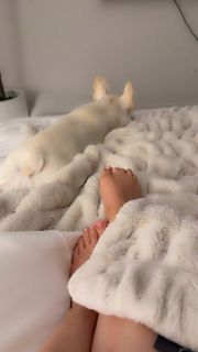 Rosanna Pansino feet photo 7