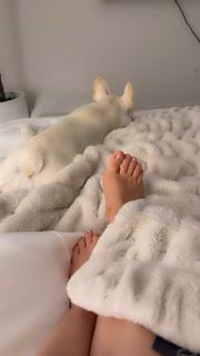 Rosanna Pansino feet photo 6