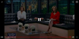 Rosanna Scotto feet photo 5