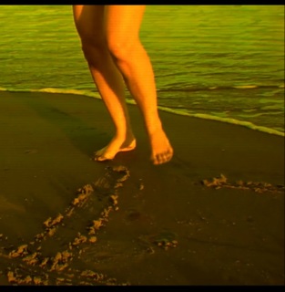 Rosanne Mulholland feet photo 14