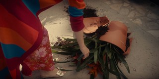 Rose Byrne feet photo thumbnail
