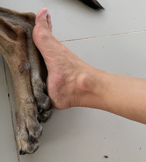 Rose McGowan feet photo thumbnail