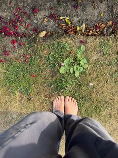 Rosie Marcel feet photo 1