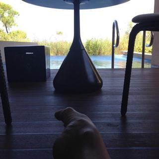 Rossella Brescia feet photo thumbnail