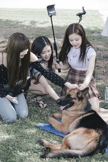 Rosé feet photo thumbnail
