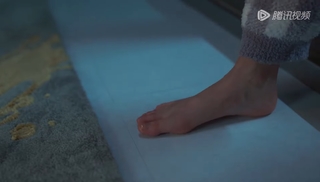 Ruonan Zhang feet photo 12