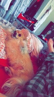 Ryan Simpkins feet photo 2