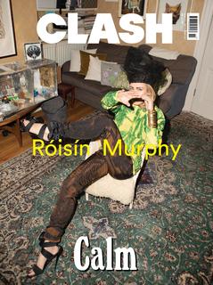 Róisín Murphy feet photo 13