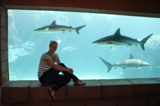 Sabine Lisicki feet photo thumbnail