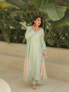 Saboor Ali feet photo 10