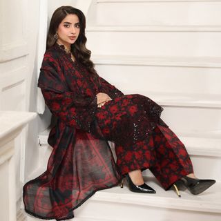 Saboor Ali feet photo 17