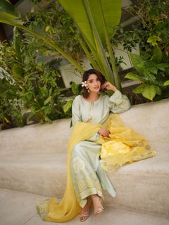 Saboor Ali feet photo 15