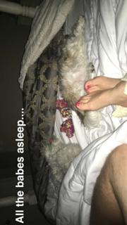 Sabrina Bryan feet photo 20
